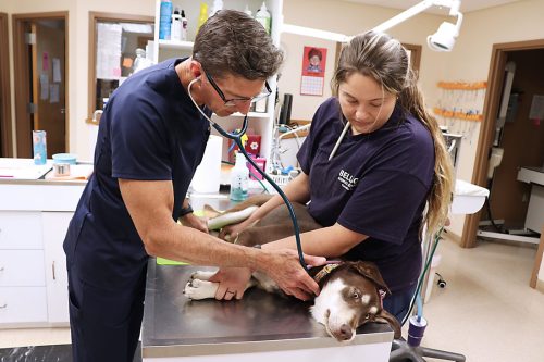 check-up_orig