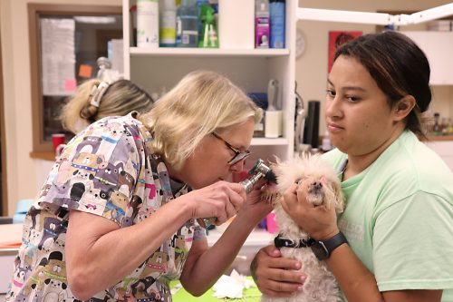 dr-rita-ear-inspection-3_orig